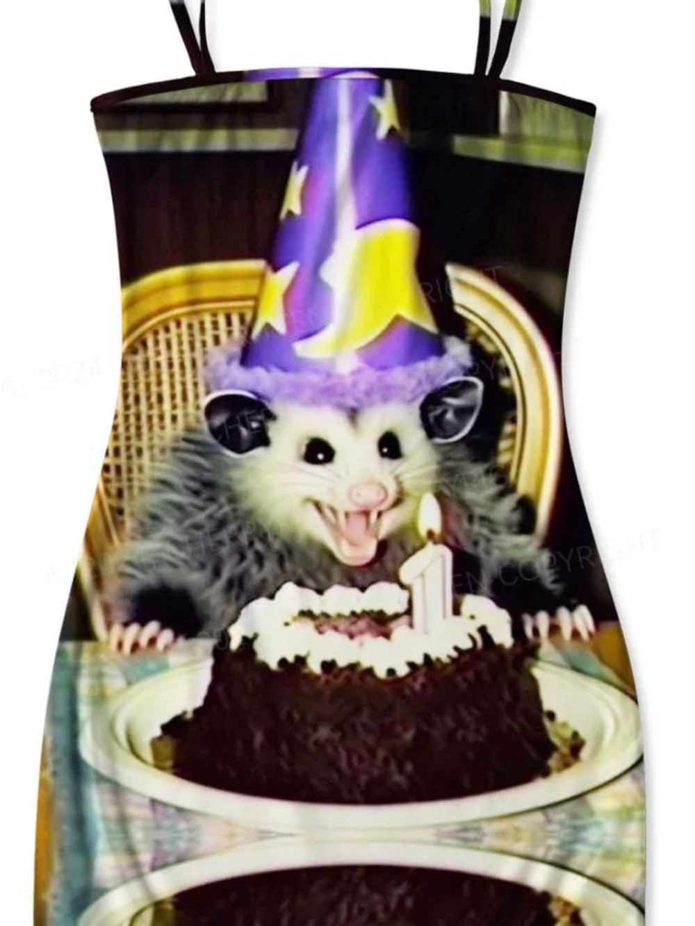 Cute Opossum Birthday Dress in Purple and Black